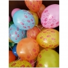 Gyvūnais  dekoruotas balionas, MIX 12''', vnt kaina