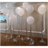 Foto sienelė iš balionų